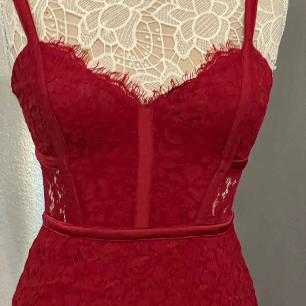 Elegant Burgundy Lace Dress from EXPRESS - Picture 3 of 6